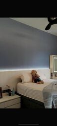 Oleander Towers (D12), Apartment #626599761
